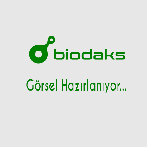 50 ml Non Steril Etekli Falkon Santrifüj Tüpü